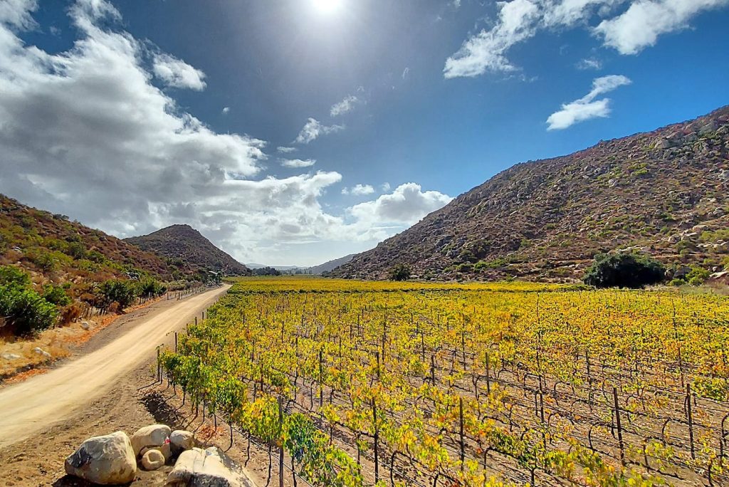 Vinicola Solar Fortun un lugar para degustar vinos en Ensenada