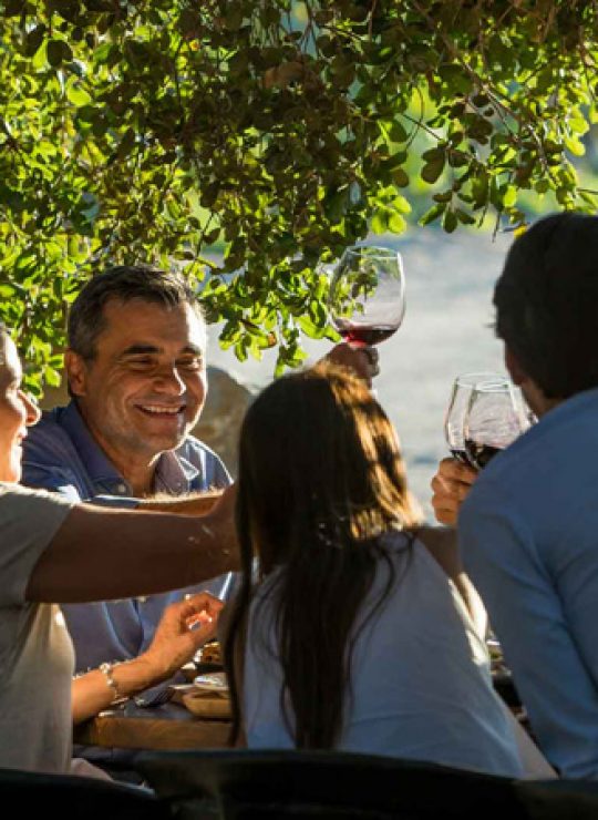 Ruta del Vino