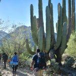 Centinela Hiking - Excursiones Baja California