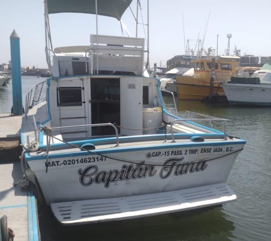 Capitan Tuna