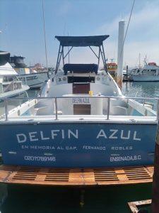 Delfin azul