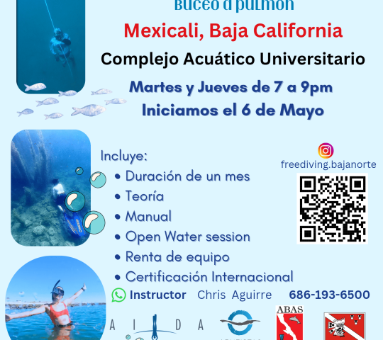 Freediving baja norte