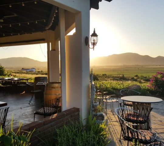 Restaurante Vinea by Hacienda Guadalupe