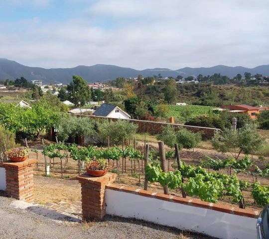 Quinta Sofía