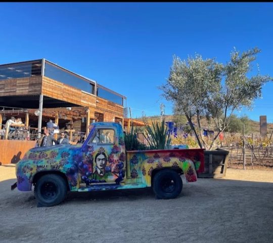 CASA FRIDA