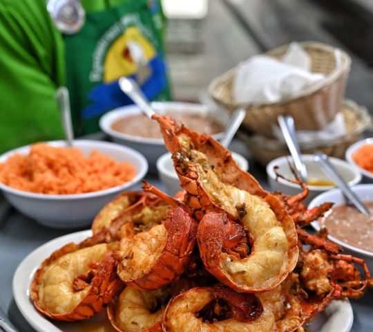 Restaurant Puerto Nuevo ll