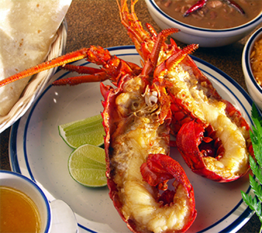 La Casa de la Langosta